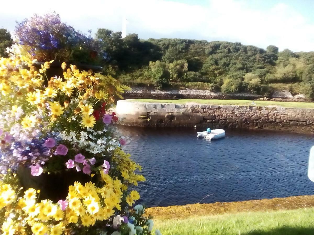 Bed and Breakfast Song Of The Sea, Selkie House Helmsdale Exterior foto
